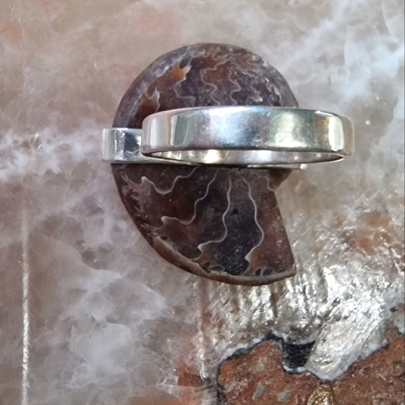 Ammonite Fossil Sterling Silver Ring - Picture 3 of 7